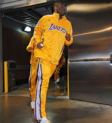 由此可见 由此可见